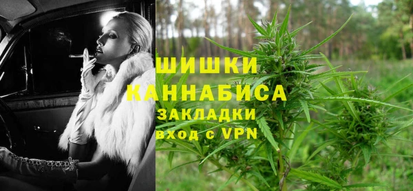 сатива Абдулино