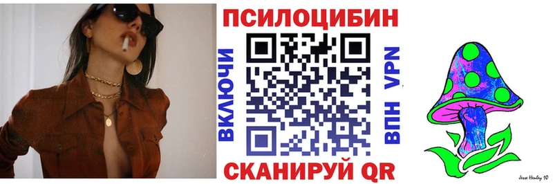 Галлюциногенные грибы Psilocybine cubensis Сальск